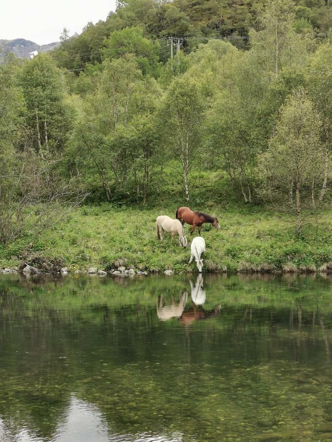 Steinklepp Camping Övre Övre Kvamme Екстериор снимка